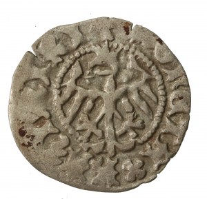 Casimir IV Jagiellonian, Half-penny without date, Cracow (218)