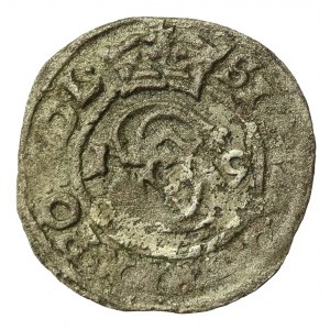 Zygmunt III Waza, Szeląg 1616. Odwrócona 6. Rzadki (222)