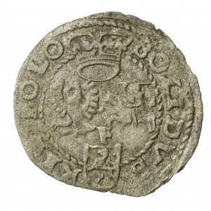 Zygmunt III Waza, Szeląg 1599, Wschowa. Litera F na rew. Rzadki (223)
