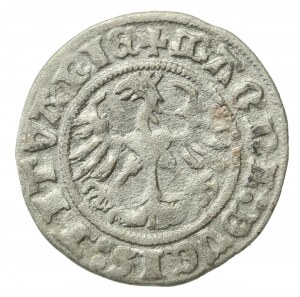 Sigismund I the Old, Half-penny 1511, Vilnius (226)