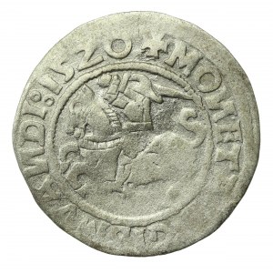 Zygmunt I Stary, Półgrosz 1520, Wilno, SIGISMVANDI - odwrócone N (227)