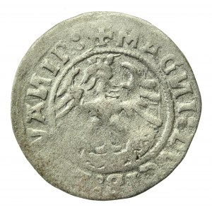 Zygmunt I Stary, Półgrosz 1520, Wilno, SIGISMVANDI - odwrócone N (227)
