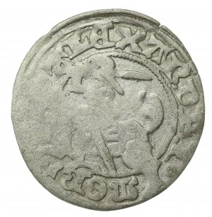 Alexander Jagiellonian, Half-penny, Vilnius-Gothic (228)