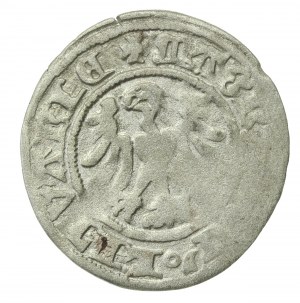 Alexander Jagiellonian, Half-penny, Vilnius-Gothic (228)