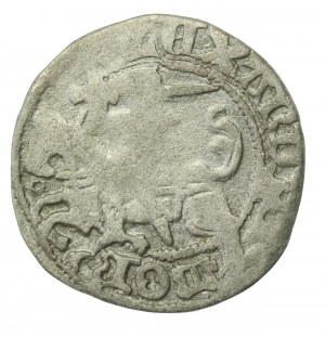 Alexander Jagiellonian, Half-penny, Vilnius-Gothic (229)