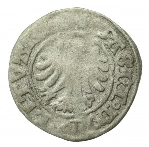 Alexander Jagiellonian, Half-penny, Vilnius-Gothic (229)