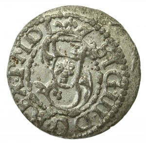 Sigismund III Vasa, Shelly 1619, Riga (231)