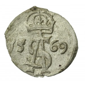 Zygmunt II August, Dwudenar 1569, Wilno (234)