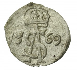 Sigismund II Augustus, Dwudenar 1569, Vilnius (234)