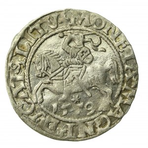 Zygmunt II August, Półgrosz 1559, Wilno - L/LITV (237)
