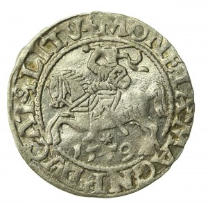 Sigismund II Augustus, Half-penny 1559, Vilnius - L/LITV (237)