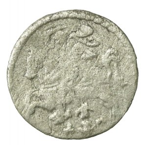 Sigismund III Vasa, Dwudenar 1609, Vilnius (238)