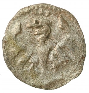 Casimir IV Jagiellonian, Denar Cracow, n.d (241)