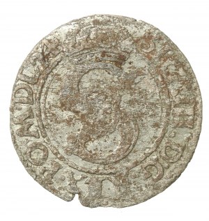 Sigismund III Vasa, 1624 Shellac, Vilnius (243)
