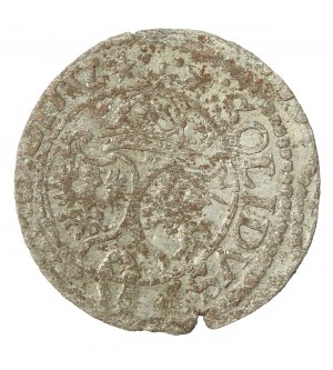 Sigismund III Vasa, 1624 Shellac, Vilnius (243)