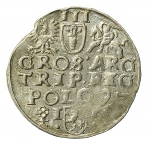 Sigismund III Vasa, Trojak 1597, Wschowa (246)