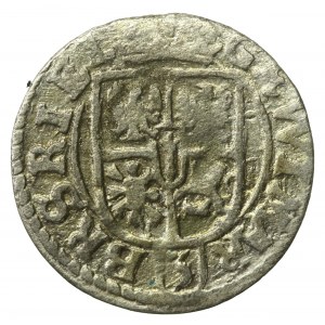Prusy Książęce, Jerzy Wilhelm, Półtorak 1624, Królewiec (255)