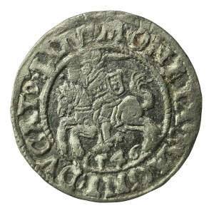 Sigismund II Augustus, Half-penny 1546, Vilnius (261)