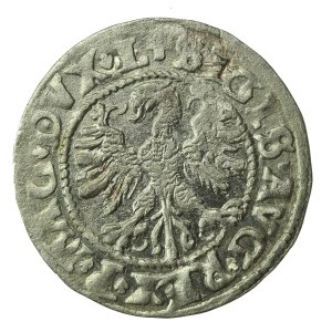 Sigismund II Augustus, Half-penny 1546, Vilnius (261)
