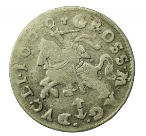Sigismund III Vasa, 1608 penny, Vilnius (271)