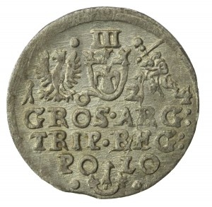 Sigismund III Vasa, Trojak 1624, Krakow (273)