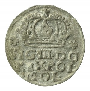 Sigismund III Vasa, 1624 penny, Bydgoszcz (277)