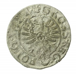 Sigismund III Vasa, 1624 penny, Bydgoszcz (277)