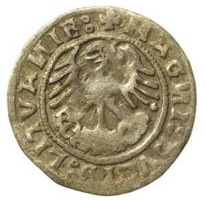 Sigismund I the Old, Half-penny 1519, Vilnius (502)