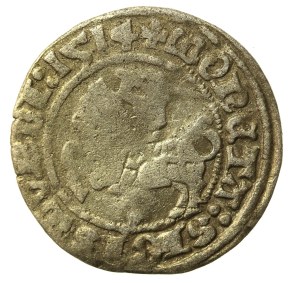 Sigismund I the Old, Half-penny 1514, Vilnius. Rev-4 dots (504)