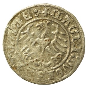 Zygmunt I Stary, Półgrosz 1513, Wilno, rewers-4 kropki. Rzadki (505)