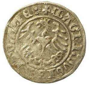 Sigismund I the Old, Half-penny 1513, Vilnius, reverse-4 dots. Rare (505)