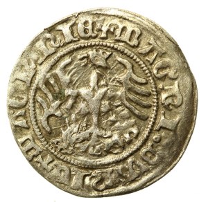 Sigismund I the Old, Half-penny Vilnius. An interesting destruct without a date (509)
