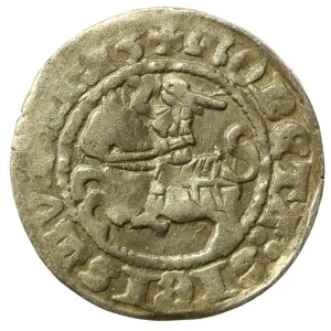 Zygmunt I Stary, Półgrosz 1513, Wilno (510)