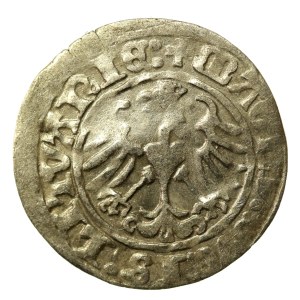 Zygmunt I Stary, Półgrosz 1513, Wilno (510)