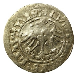 Sigismund I the Old, Half-penny 1513, Vilnius (510)