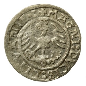 Zygmunt I Stary, Półgrosz 1520, Wilno. Poprawiona data (511)