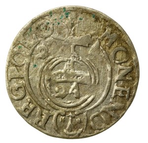 Sigismund III Vasa, Half-track 1624, Bydgoszcz - Saxon in round shield (512)