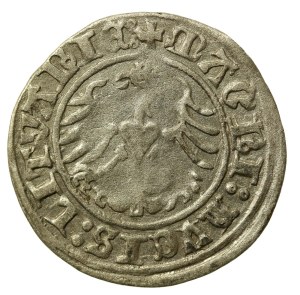 Sigismund I the Old, Half-penny 1516, Vilnius (513)