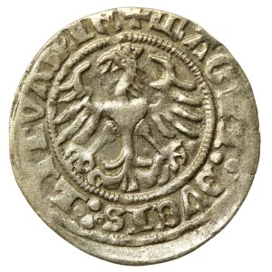 Zygmunt I Stary, Półgrosz 1511, Wilno (514)