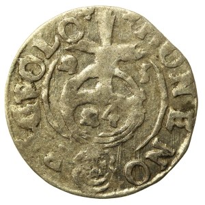 Zygmunt III Waza, Półtorak 1623, Bydgoszcz. Brak przerywników (516)