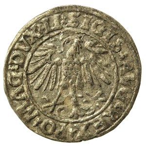 Zygmunt II August, Półgrosz 1547, Wilno - LI/LITVA (520)