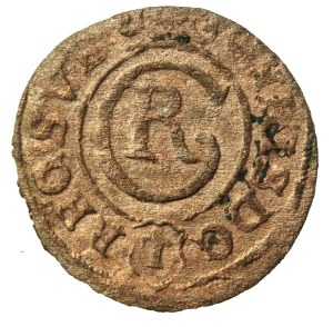 Elblag, Krystyna Vasa, shelig (523)
