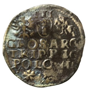 Sigismund III Vasa, Trojak 1595, Wschowa, Lewart on obverse, very rare. R5 (524)