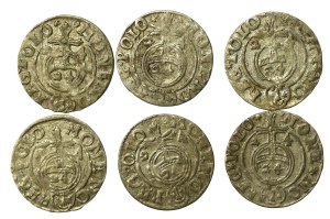 Sigismund III Vasa, a set of Bydgoszcz half-tracks. Total of 6 pieces (613)