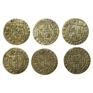 Zygmunt III Waza, zestaw półtoraków bydgoskich. Razem 6 sztuk (613)
