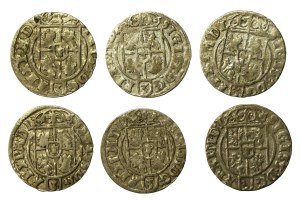 Sigismund III Vasa, a set of Bydgoszcz half-tracks. Total of 6 pieces (613)