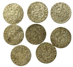 Sigismund III Vasa, a set of Bydgoszcz half-tracks. Total of 8 pieces (615)