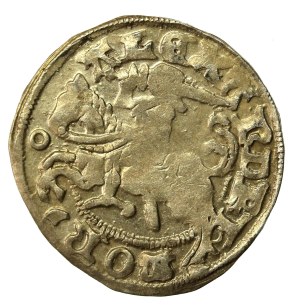 Alexander Jagiellonian, Half-penny, Vilnius-Gothic (621)