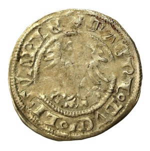 Alexander Jagiellonian, Half-penny, Vilnius-Gothic (621)