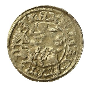 Alexander Jagiellonian, Half-penny, Vilnius-Gothic (622)